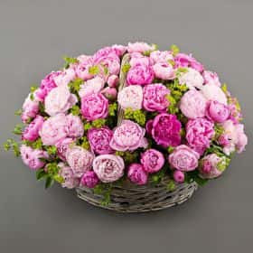 Букет "Клеон" из 51 пиона