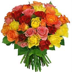 Кенийские розы Микс 40 см 51 шт