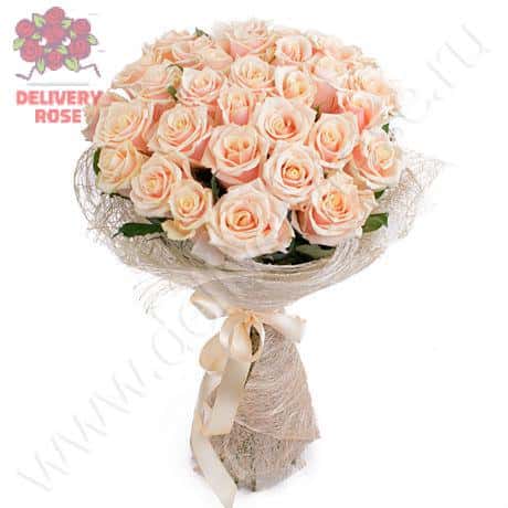 Букет из кремовых роз (31 шт.)