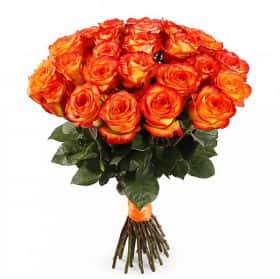 Букет Магия застывшего огня (25 роз)