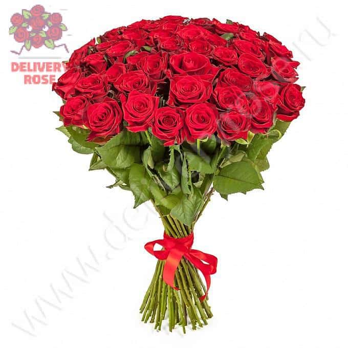 Букет 51 красная роза