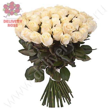 Букет из 51 кремовой розы «Ты и я»