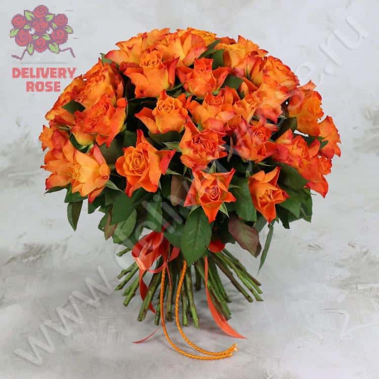 Букет из 51 оранжевой розы 40 см. VIP