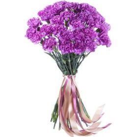 25 сиреневых гвоздик