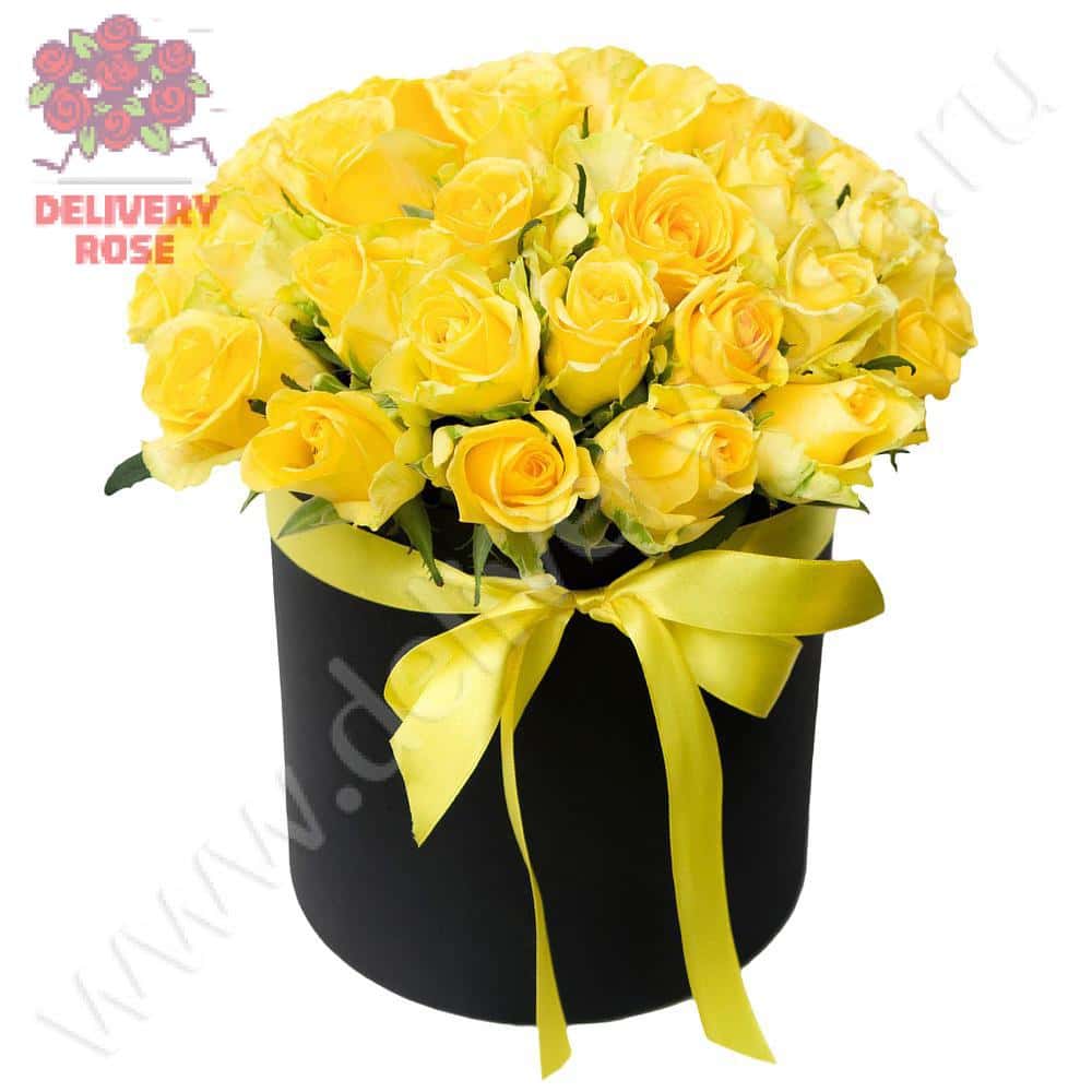 51 желтая роза 40 см. в шляпной коробке Cтандарт