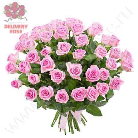 Букет из 51 розовой розы «Великолепный выбор»