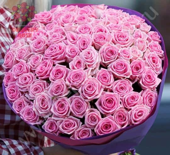 Букет из 101 розы 60 см