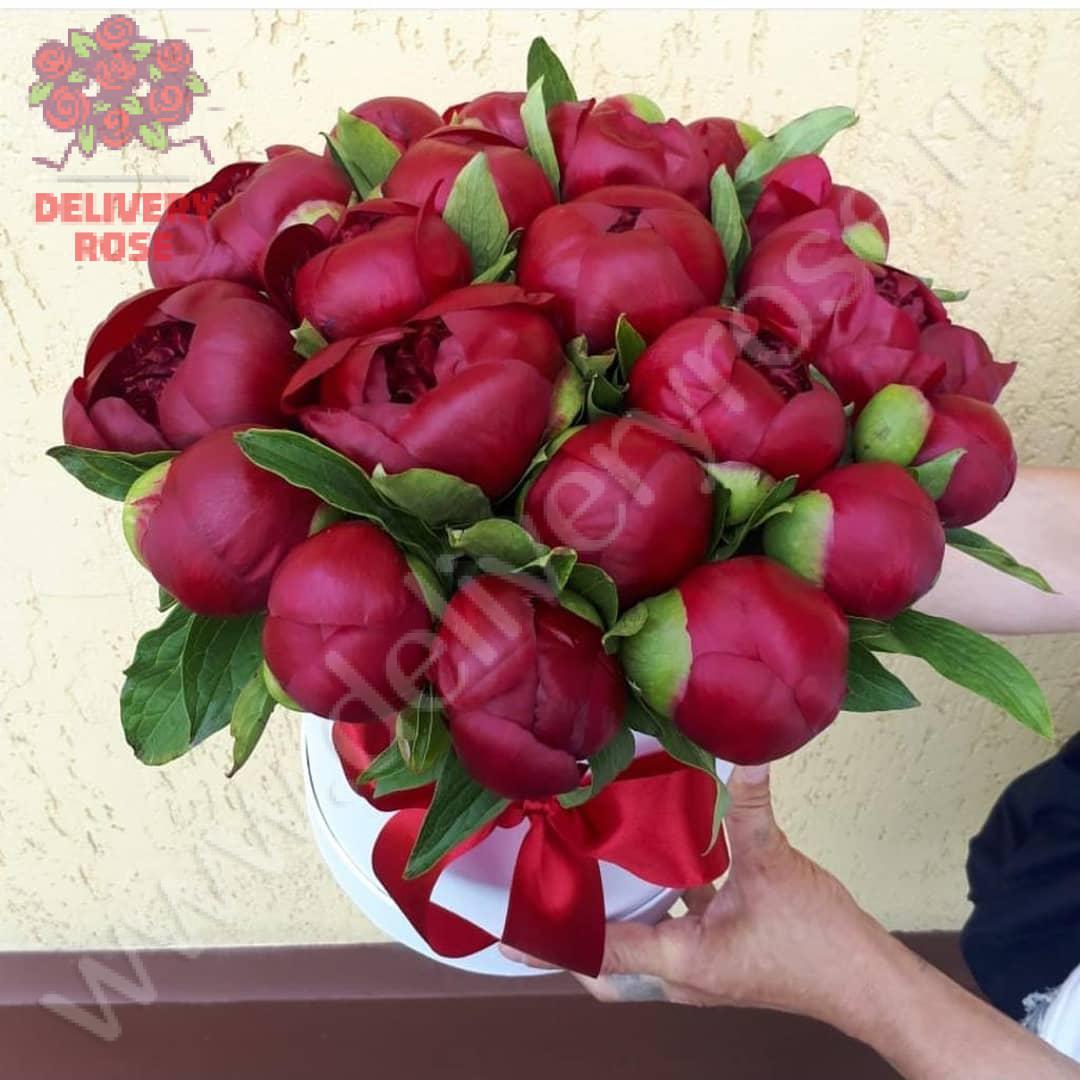 Бордовые пионы в шляпной коробке - 15 шт.