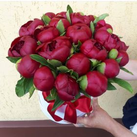 Бордовые пионы в шляпной коробке - 15 шт.